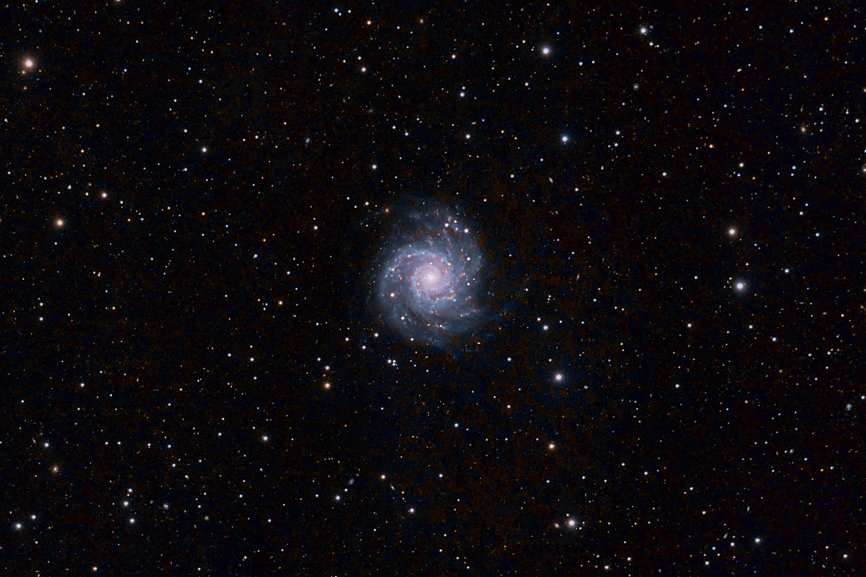 M74