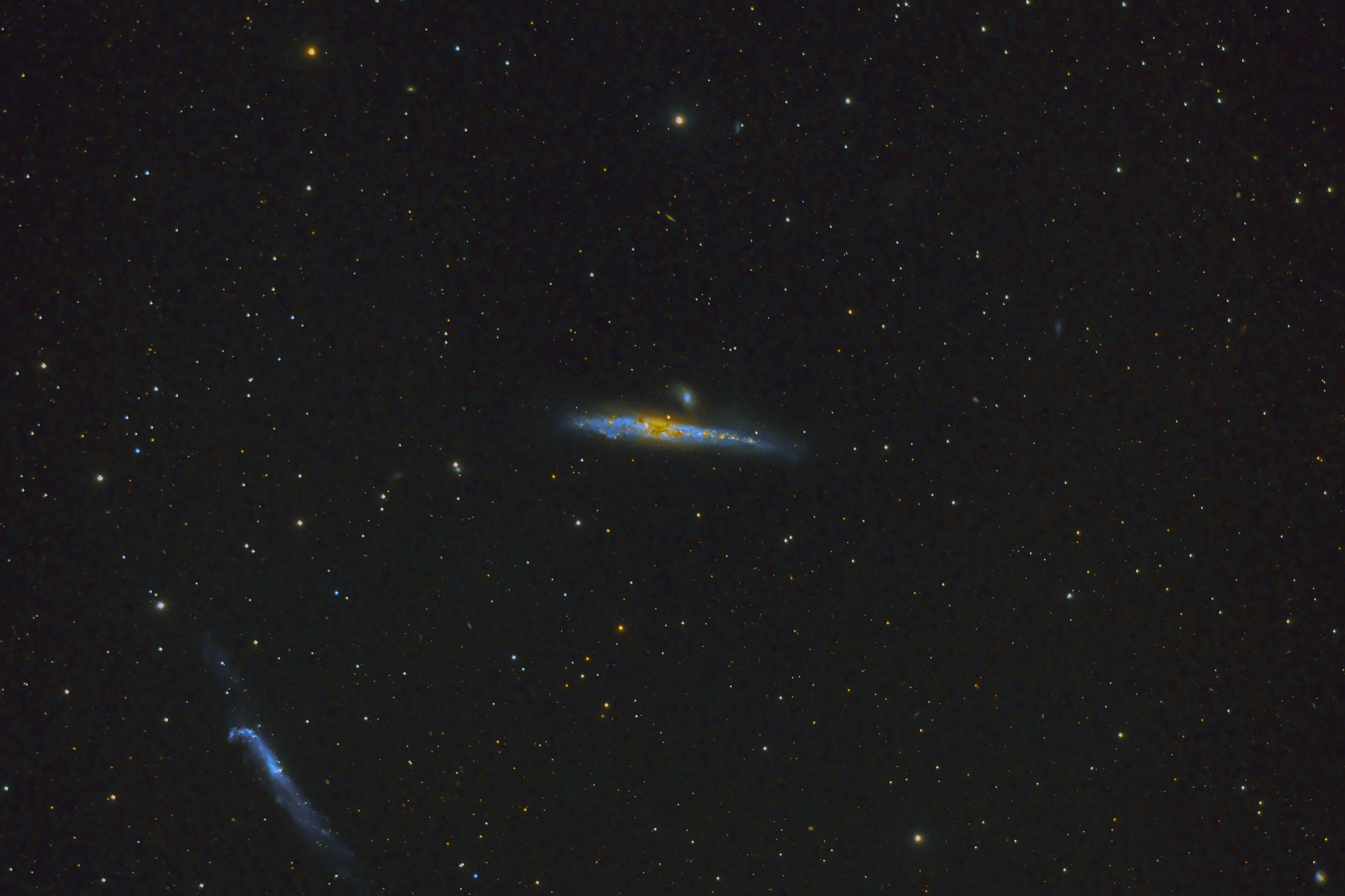 NGC4631