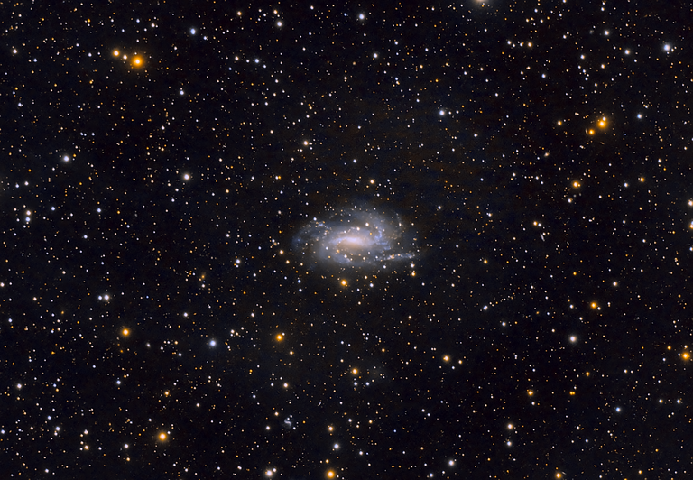 NGC925